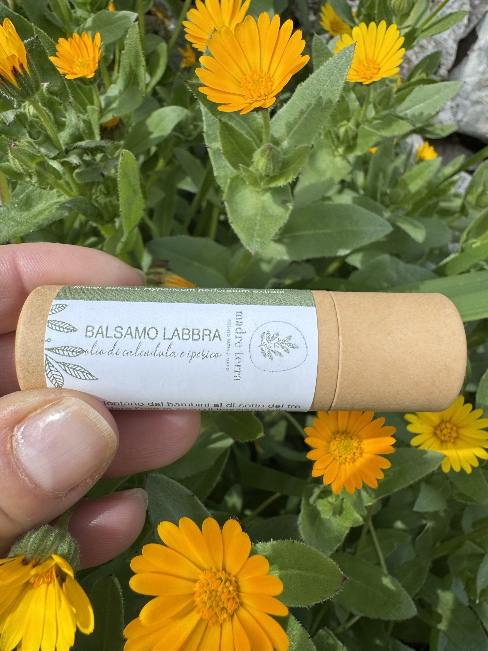 Balsamo labbra al olio di calendula e iperico.