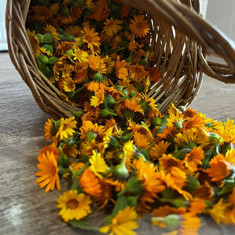 Sapone solido alla Calendula - immagine 4
